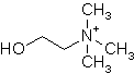 Image of molecular structure representing Choline