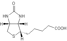 Image of molecular structure representing Biotin