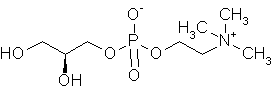 Image of molecular structure representing Choline alfoscerate