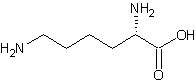 Image of molecular structure representing Polylysine